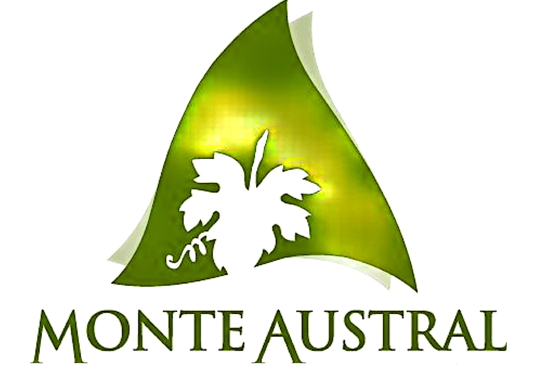 Monte Austral SA